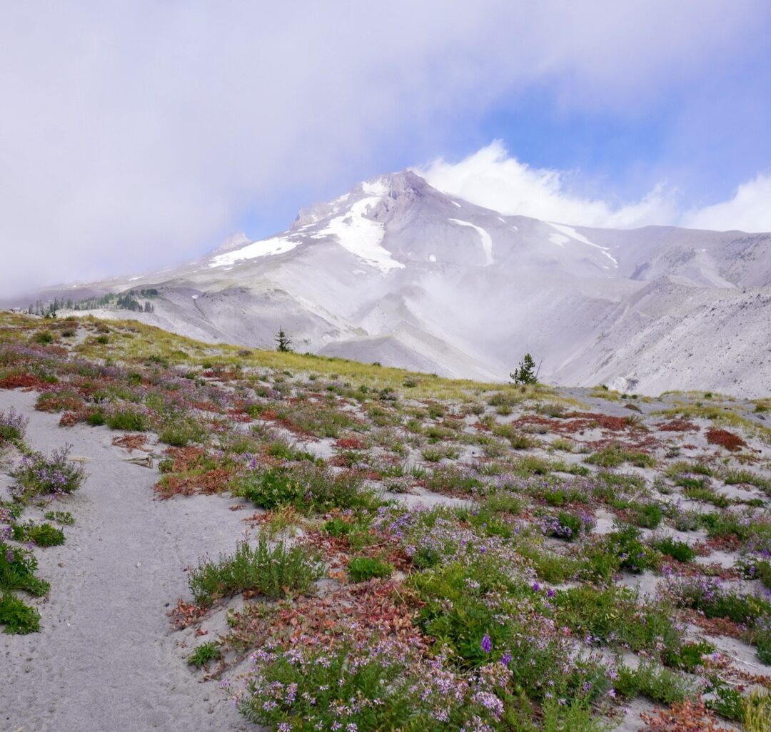 Den 120 | Na cestě do Timberline Lodge: Kouzlo Mount Hood a rautu z Osvícení